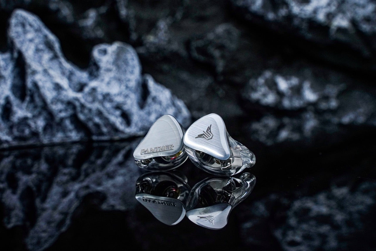 PANTHER AUDIO AURA DX4