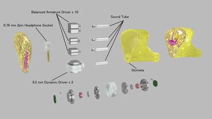 AROMA AUDIO - FEI WAN
