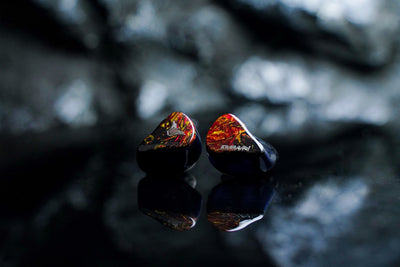 PANTHER AUDIO DAWN