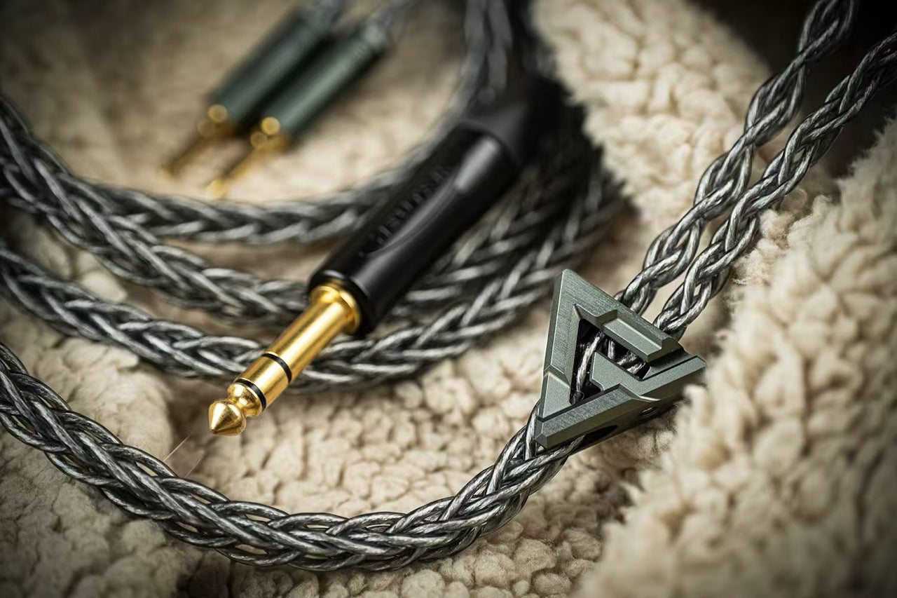 HIFIMAN Ver.  IRIS 8Wire